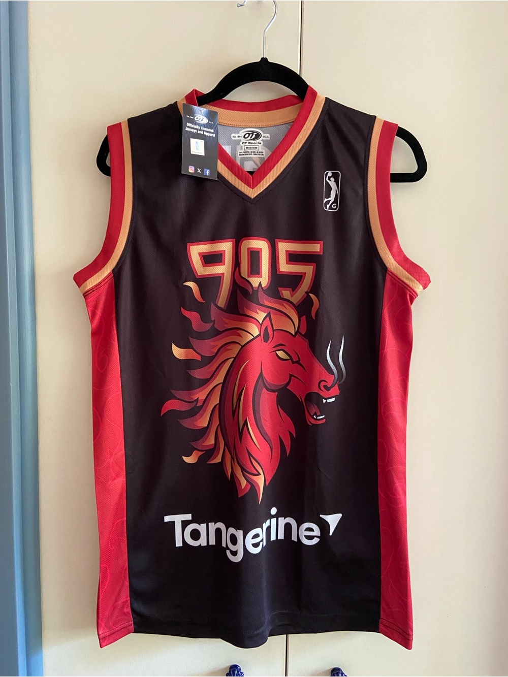 NWT Raptors 905 Basketball Jersey 2026 LNY Horse
